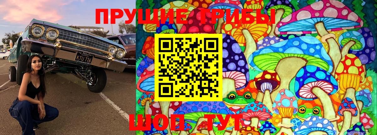 Галлюциногенные грибы GOLDEN TEACHER Унеча