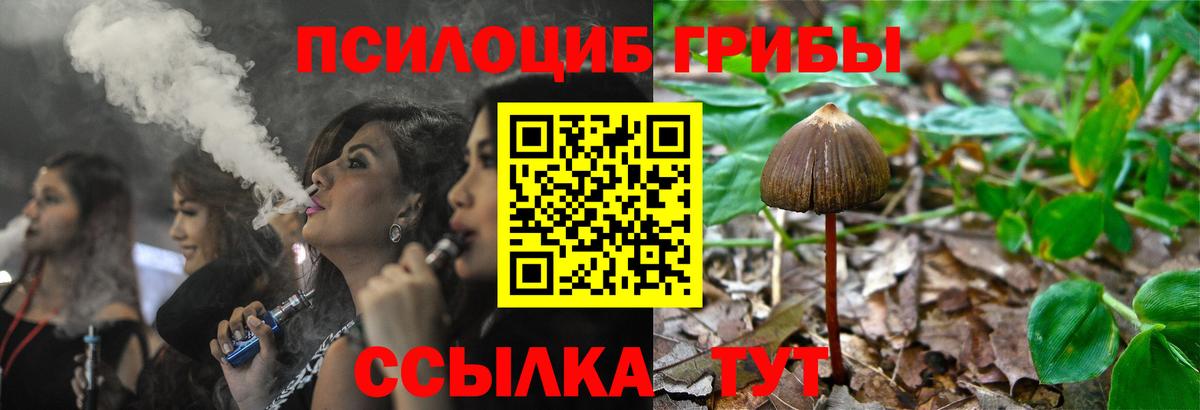 Псилоцибиновые грибы Psilocybine cubensis  Вход с VPN  Унеча  даркнет сайт  Галлюциногенные грибы Magic Shrooms 